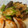 ★料理は楽しい★'s cooksnap of when they made 鷄むね肉と夏野菜のおろし煮.