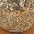 ミセスオリーブ's cooksnap of when they made 自分で作る柚子胡椒味のなめ茸瓶.