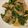 クック8AAT23☆'s cooksnap of when they made 簡単！豚バラ肉とピーマンのこってり炒め♪.