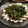 かなぽん☆☆'s cooksnap of when they made 蒸し鶏とにらの旨辛ダレ.