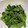 クックYP5QLM☆'s cooksnap of when they made つるむらさきのごま和え.