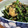 きっかママ's cooksnap of when they made 小松菜と油揚げとひじきの炒め煮.