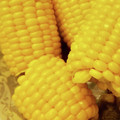りょうこんWY2N9's cooksnap of when they made 小さな鍋で大丈夫！とうもろこしの茹で方.