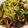 どむぞうくん's cooksnap of when they made ＊もりもりレタスときのこの中華炒め＊.