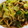 どむぞうくん's cooksnap of when they made ＊もりもりレタスときのこの中華炒め＊.