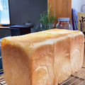 ポチゴロ's cooksnap of when they made 天然酵母で毎日のふわふわパン(中種法）.