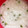 シムちぃ's cooksnap of when they made 大根おろしとろろ.