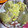 smilechip's cooksnap of when they made 簡単玉ねぎ丸ごとチーズ焼き♥.
