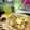 ☆なあなクック☆'s cooksnap of when they made カロリーオフ！？夕顔(冬瓜)わらび餅！.