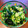 Saka_Shin's cooksnap of when they made わかめときゅうりの酢の物.