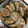 ﾌﾞﾚﾝﾀﾞ's cooksnap of when they made 種が綺麗に取れるピーマンの切り方.