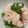 ふくえ☆'s cooksnap of when they made 鯛の子の酢の物.