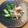 ふくえ☆'s cooksnap of when they made オクラとみょうがのおひたし♪♪.