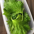 たろべちゃん's cooksnap of when they made 大葉の保存.