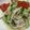 67luna's cooksnap of when they made さっぱり＆旨い☆塩麹でゴマダレ素麺.