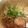 クックCDD020☆'s cooksnap of when they made ベトナムフォーの基本レシピ.