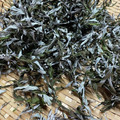 momonaomam's cooksnap of when they made 自家製☆ヨモギ粉の作り方.