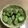 亜久里's cooksnap of when they made ふっくらシワなし*そら豆の茹で方*.