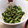 クックE662AA☆'s cooksnap of when they made いんげんの胡麻和え.