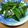 クリームドーナツ's cooksnap of when they made 旨辛にらやっこ.
