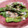 o＿OMAMe＿o's cooksnap of when they made 万願寺とうがらしの煮浸し　常備菜.