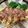 雪ん子88's cooksnap of when they made 目玉焼きアレンジ★お好み焼き風★朝食に.