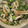 クックZ8J4H4☆'s cooksnap of when they made きゅうり枝豆ちくわのサラダ.