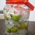 yhiroko's cooksnap of when they made ２０１０自家製梅シロップで梅ジュースに！.