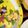 けーこころん's cooksnap of when they made 絹さやと卵の簡単サラダ♪.