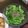 クロ８５'s cooksnap of when they made 水菜とちりめんじゃこのサラダ.