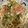 うなちゃん！'s cooksnap of when they made ネバネバ冷やしうどん.