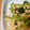 づぃんこ's cooksnap of when they made 小松菜の卵炒め..★.