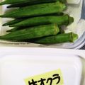 ひっこ's cooksnap of when they made オクラの保存方法....