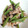 ミサシオハヤ♪'s cooksnap of when they made 簡単料理♪【豚といんげんのマヨポン炒め】.
