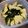 クックPCKCO5☆'s cooksnap of when they made 麵つゆで♪筍とわかめの煮物（若たけ煮）.