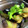 Ｏｓｓａｎ's cooksnap of when they made 【作り置き】なすのめんつゆ漬け.