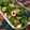 Faiza's cooksnap of when they made 簡単！早い！ウマイ！☆ちくわピーマン☆.
