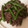 チェリチョコ's cooksnap of when they made いんげんと牛肉のにんにく炒め.
