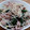 ポニーリボン's cooksnap of when they made モロヘイヤともやしの炒め物.