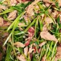 いやいやくん's cooksnap of when they made 弁当おかず③　豆苗とシーチキンの梅干和え.