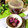 クックloveまま☆'s cooksnap of when they made 自家製しば漬け.