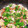 クックZ3QE1I☆'s cooksnap of when they made アサリの酒蒸し♪タイ風ナムプラー簡単.