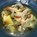 hiromi17's cooksnap of when they made 鳥手羽先のポトフ『きのう何食べ』#133.