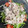 mozutoufu's cooksnap of when they made しっとり柔らか！冷しゃぶ.