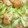 クック15FFG6☆'s cooksnap of when they made 簡単❣鶏とキャベツのごま油炒め.