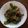 pinkとんちゃん's cooksnap of when they made ご飯に、お酒に、絶対合う茄子とピーマン.