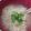 セレナ✨'s cooksnap of when they made 画期的!?レンジでインスタントラーメン*.