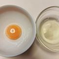 azbjbn's cooksnap of when they made 簡単♡白身と黄身の分け方２種♪.