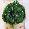 o☆shino's cooksnap of when they made 大量消費に！大葉のゴマ醤油漬け.
