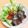 ★ぴよぴよ501★'s cooksnap of when they made 鰹のわさびポン酢胡麻ドレッシングサラダ.